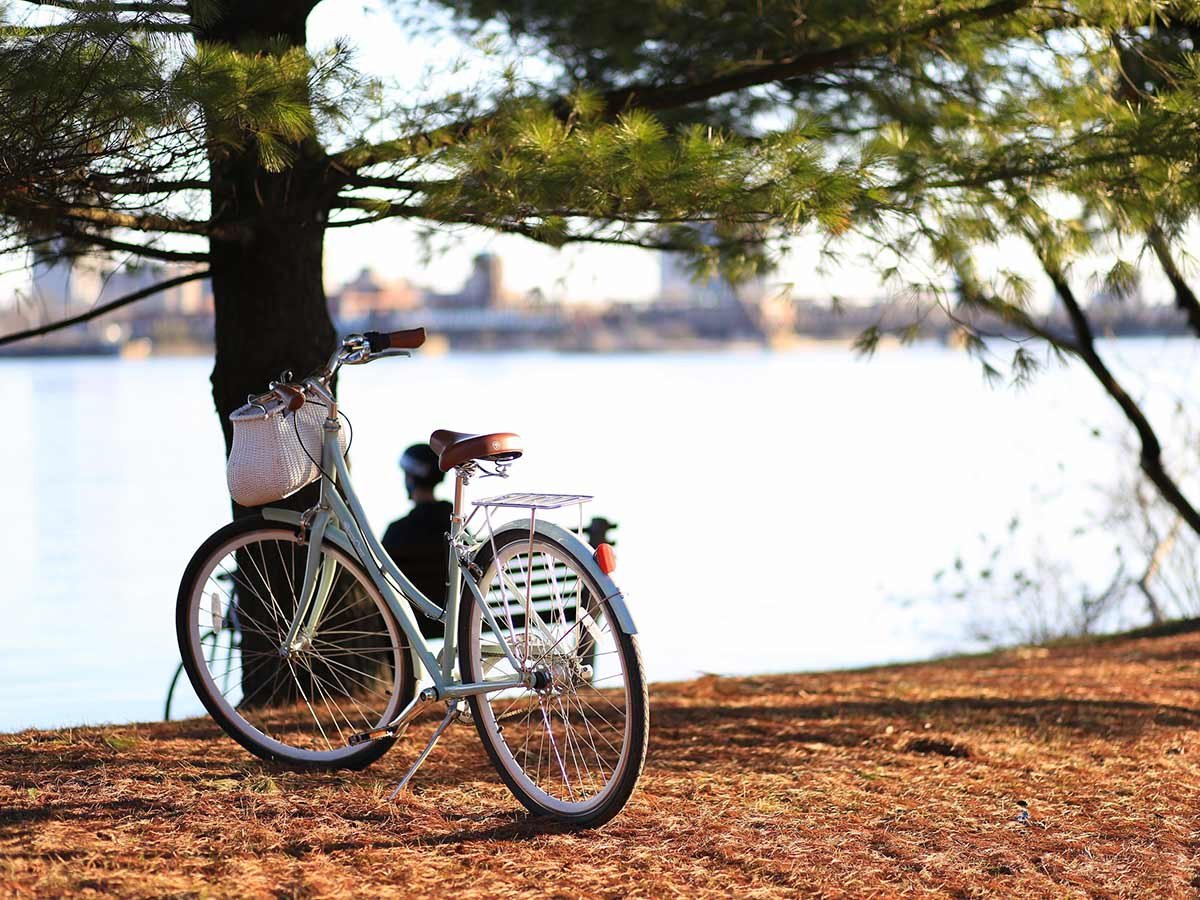 bike-under-the-tree-near-the-lake