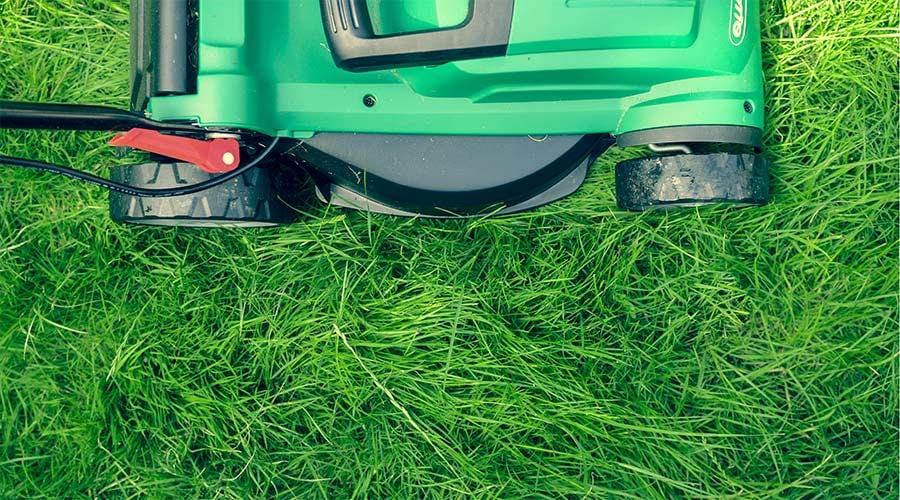Green push lawn mower on grass